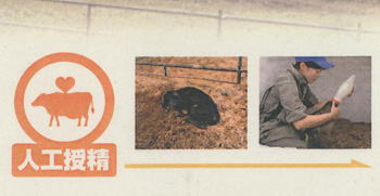 100324_鳥山畜産食品(株)様_繁殖