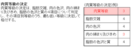 100328_鳥山畜産食品(株)様_肉質等級の決定