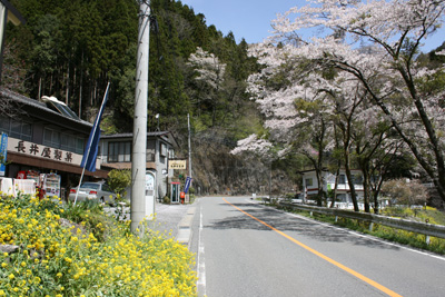 100428_長井屋製菓様_通り