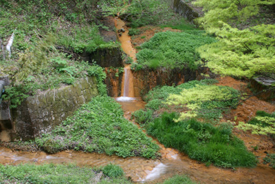 100519_伊香保温泉_川の湯の花