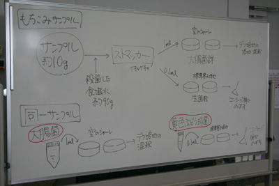 100622_食品衛生セミナー_板書